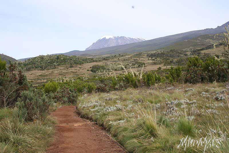 Mud Maps Africa Kili 2237